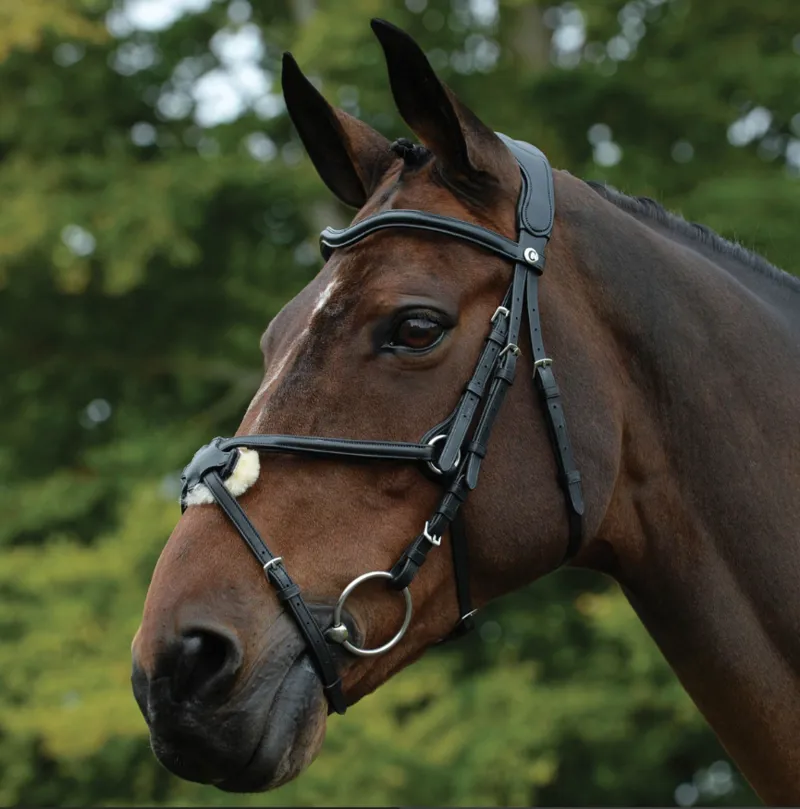 Collegiate Comfitec Grackle Bridle Black